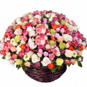 Cheerful Wishes Blooming Basket